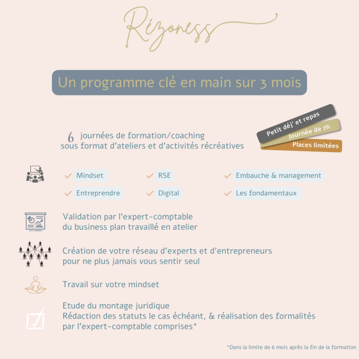 Description programme Rézoness